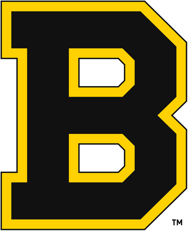 Boston Bruins 1934-1949 Primary Logo iron on transfers for T-shirts